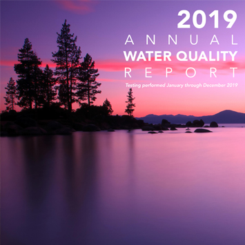 2019 Report