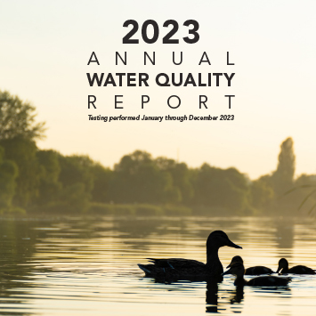 2022 Report